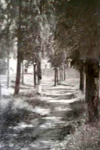 Camino de la Calsa